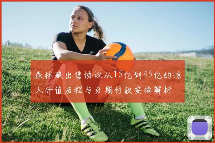 森林狼出售协议从15亿到45亿的惊人升值历程与分期付款安排解析