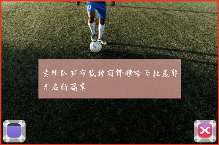黄蜂队宣布裁掉前锋穆哈马杜盖耶开启新篇章